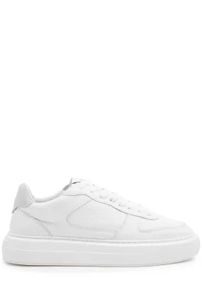 CLEENS Court grained leather sneakers  -                         -                     -                