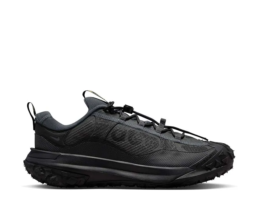 Nike ACG Mountain Fly 2 Low Gore-Tex