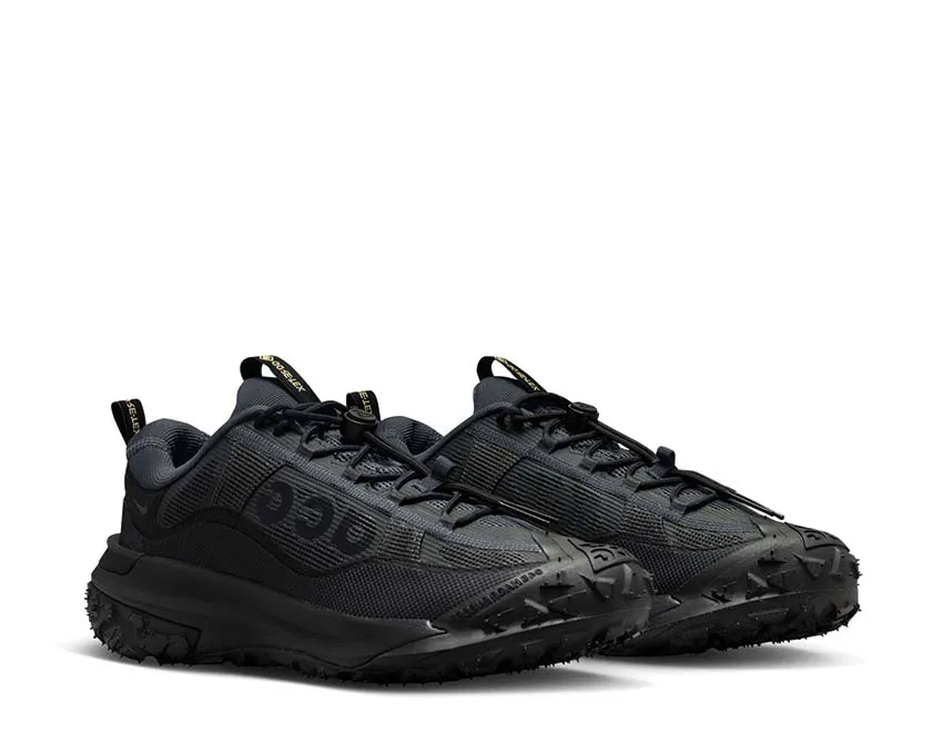 Nike ACG Mountain Fly 2 Low Gore-Tex