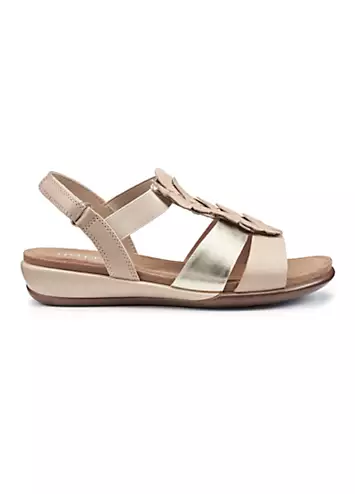 Pamplona Nude Gold Women’s Sandals by Hotter | Look Again